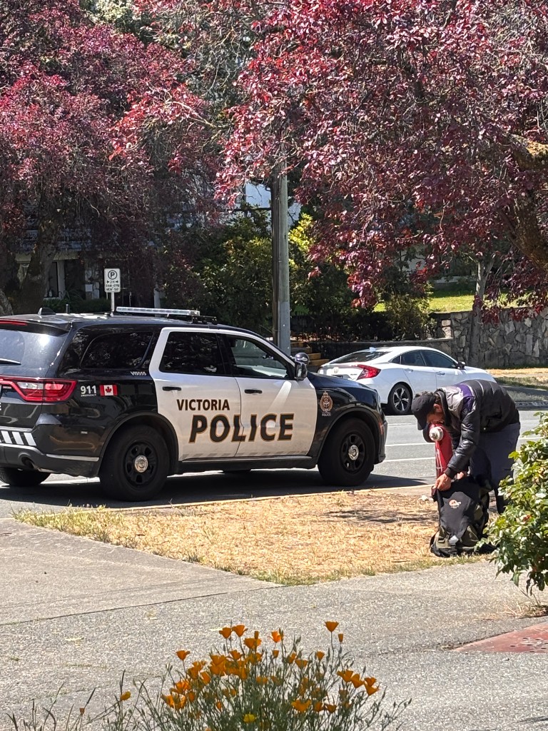 Victoria Police SUV on a beech-lined street — the paperwork catches up.